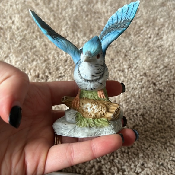 📦 Blue Jay Lovers Decor & Plush Bundle - Picture 5 of 6